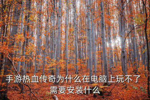 手游热血传奇为什么在电脑上玩不了 需要安装什么
