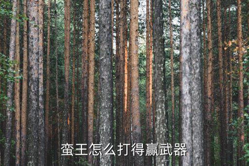 蛮王怎么打得赢武器