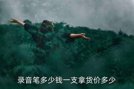 录音笔多少钱一支拿货价多少