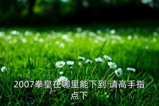 2007拳皇在哪里能下到 请高手指点下