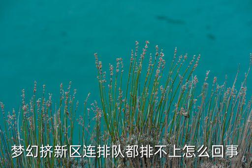 梦幻挤新区连排队都排不上怎么回事