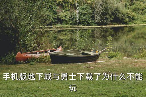 手机版地下城与勇士下载了为什么不能玩