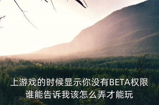 上游戏的时候显示你没有BETA权限谁能告诉我该怎么弄才能玩