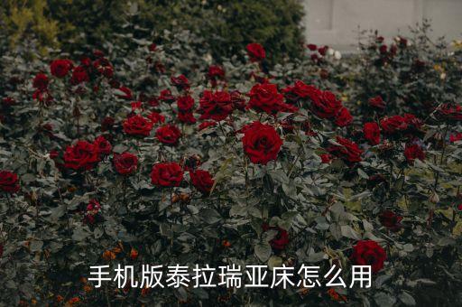 手机版泰拉瑞亚床怎么用