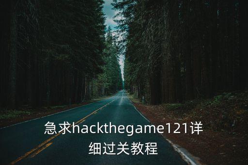 急求hackthegame121详细过关教程