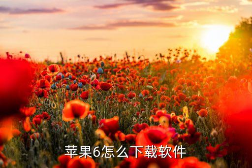 苹果6怎么下载软件