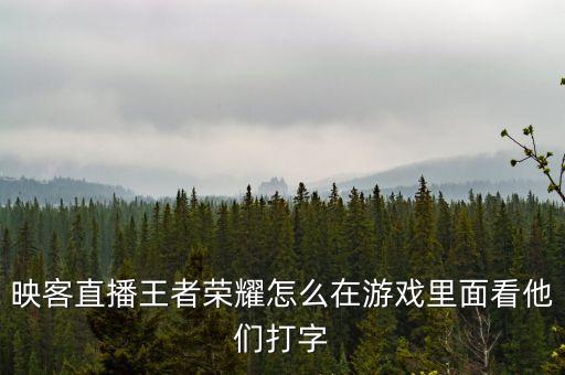 映客直播王者荣耀怎么在游戏里面看他们打字