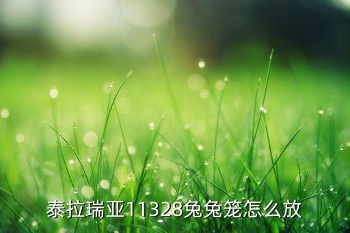 泰拉瑞亚11328兔兔笼怎么放