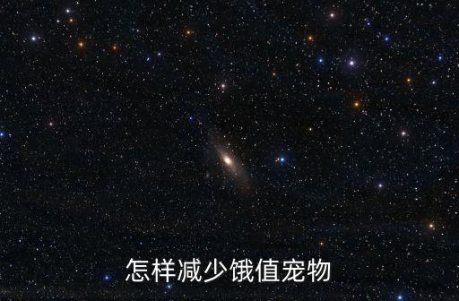怎样减少饿值宠物