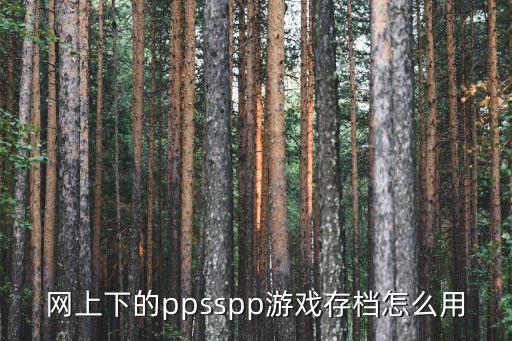 网上下的ppsspp游戏存档怎么用