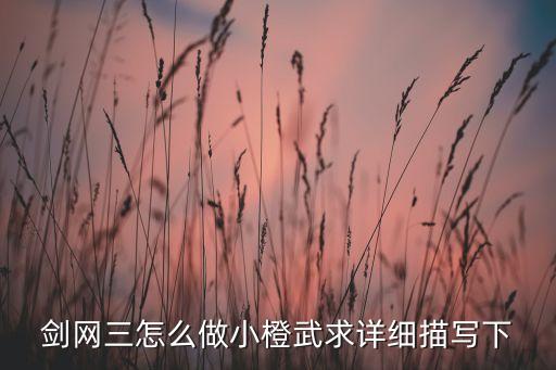 剑网三怎么做小橙武求详细描写下