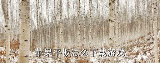苹果平板怎么下载游戏