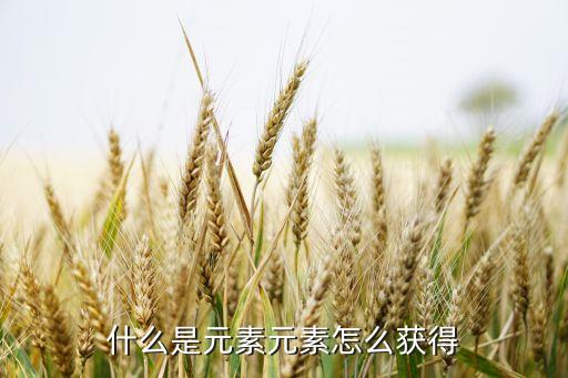 什么是元素元素怎么获得
