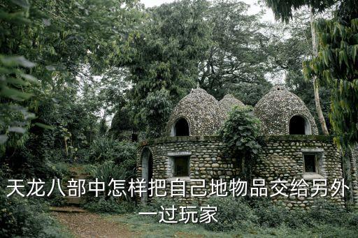 天龙八部中怎样把自己地物品交给另外一过玩家