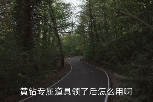 倩女幽魂手游专属道具怎么用，黄钻专属道具领了后怎么用啊
