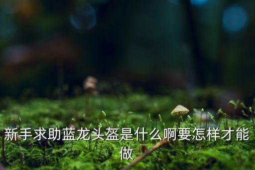 新手求助蓝龙头盔是什么啊要怎样才能做