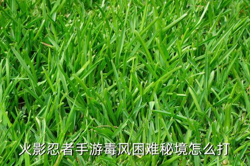 火影忍者手游毒风困难秘境怎么打