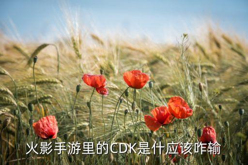 火影手游里的CDK是什应该咋输