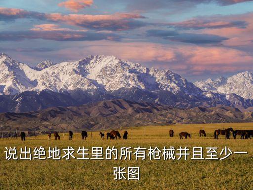 说出绝地求生里的所有枪械并且至少一张图