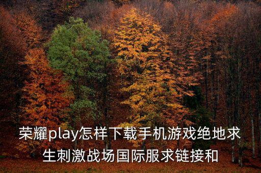 手机怎么下载国际服的手游，英雄联盟手游小米手机去哪下载国际服