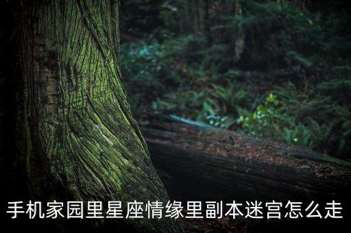 手机家园里星座情缘里副本迷宫怎么走