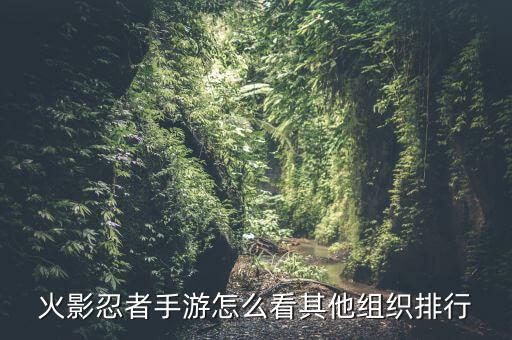 火影忍者手游怎么看其他组织排行