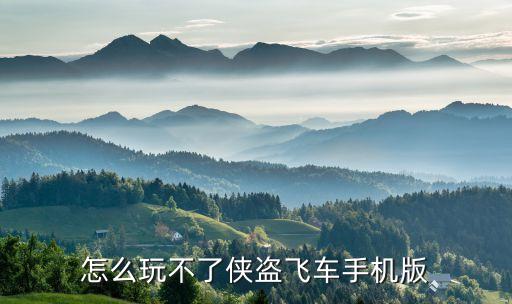 手游锐雯怎么玩不了了，怎么玩不了侠盗飞车手机版