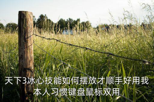 天下3冰心技能如何摆放才顺手好用我本人习惯键盘鼠标双用