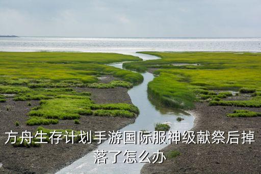 方舟生存计划手游国际服神级献祭后掉落了怎么办