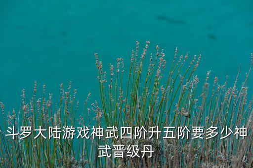 斗罗大陆手游升级丹怎么获得，五级离火丹这些5级丹怎么得到