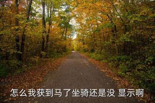 怎么我获到马了坐骑还是没 显示啊