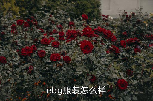 ebg服装怎么样