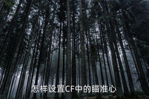 怎样设置CF中的瞄准心