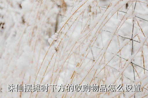 诛仙摆摊时下方的收购物品怎么设置