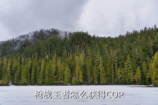 枪战王者怎么获得COP