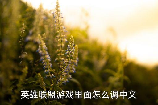 英雄联盟游戏里面怎么调中文