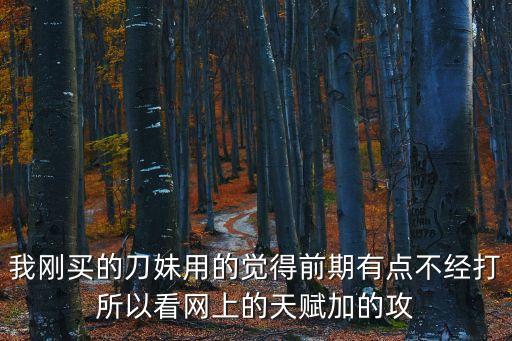 我刚买的刀妹用的觉得前期有点不经打所以看网上的天赋加的攻