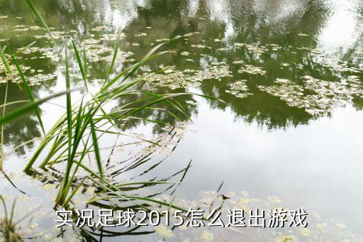 实况足球2015怎么退出游戏