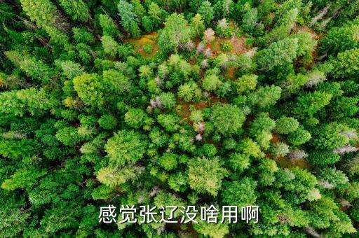 感觉张辽没啥用啊