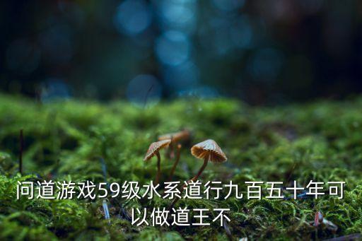 问道手游洛书梦荷57层怎么过，问道手游吕洞宾人物做完找谁交任务