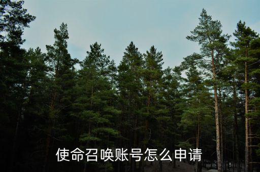 手游版的使命召唤怎么注册，使命召唤online怎么注册