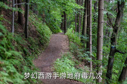 梦幻西游手游地府毒几次
