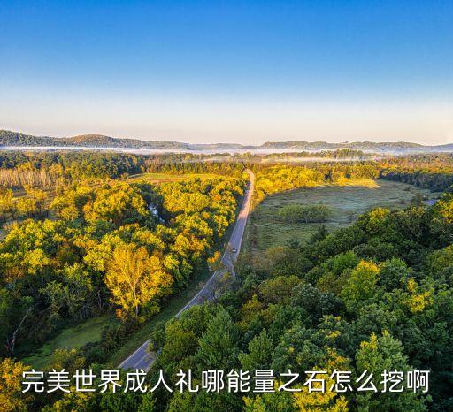 完美世界成人礼哪能量之石怎么挖啊