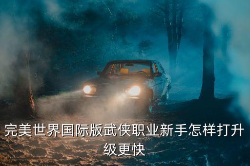 完美世界国际版武侠职业新手怎样打升级更快