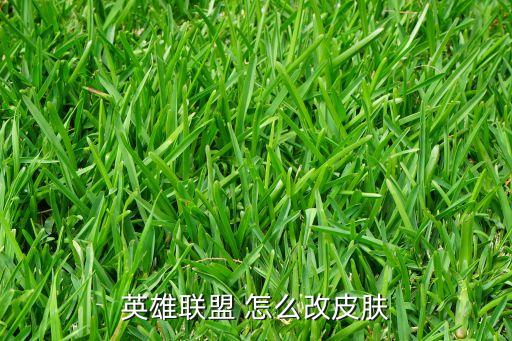 英雄联盟 怎么改皮肤
