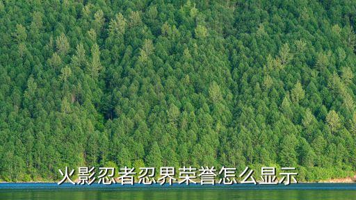 火影忍者忍界荣誉怎么显示