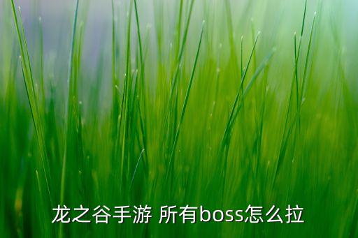 龙之谷手游 所有boss怎么拉