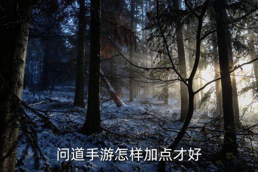 问道手游怎样加点才好
