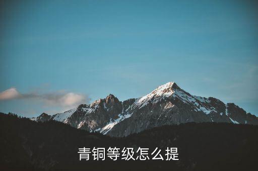 青铜等级怎么提