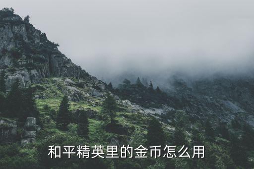 和平精英里的金币怎么用